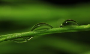 WATER DROPS ABSTRACT